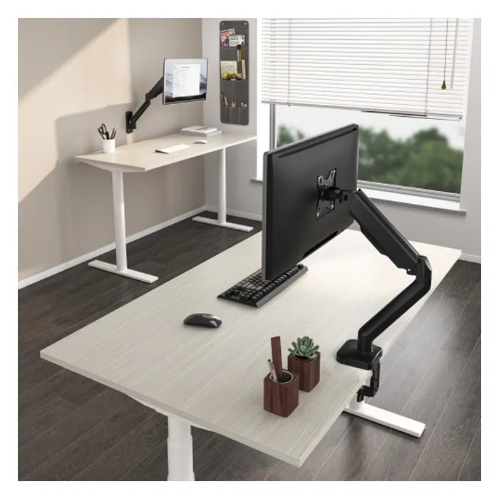 Gamvity Cost-Effective Spring-Assisted Monitor Arm