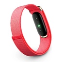Google Fitbit Air Fitness Tracker - Berry