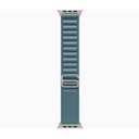 Apple Watch Ultra 3 GPS + Cellular 49mm Natural Titanium Case with Light Blue Alpine Loop - Medium